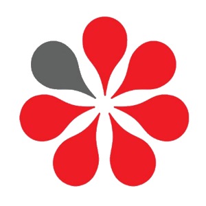 mentor image